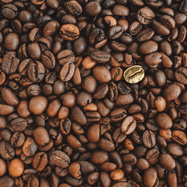 An assortment of different coffee beans in various shapes and sizes.